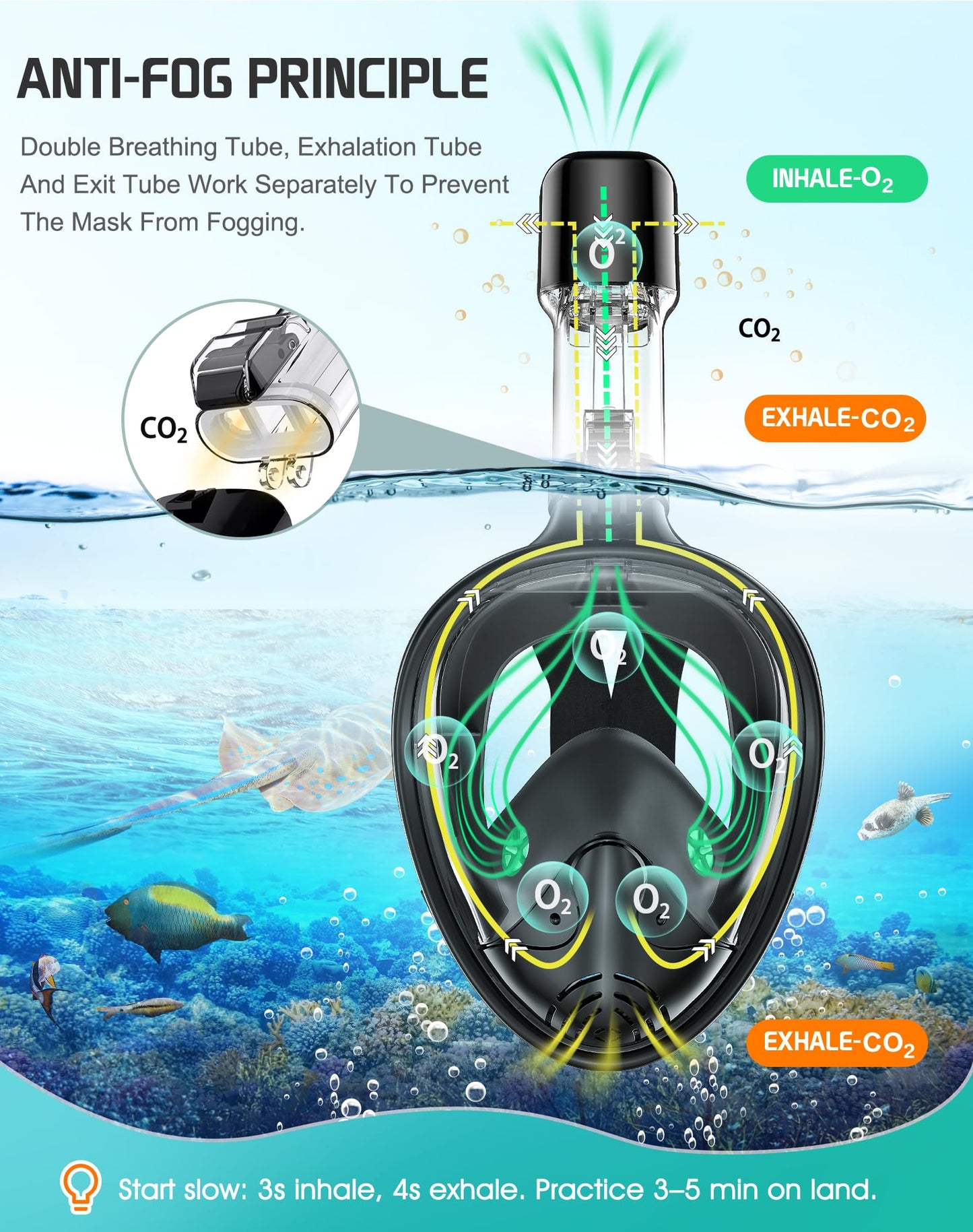 Full Face Snorkel Mask with Dry Top System and Camera Mount for Adults