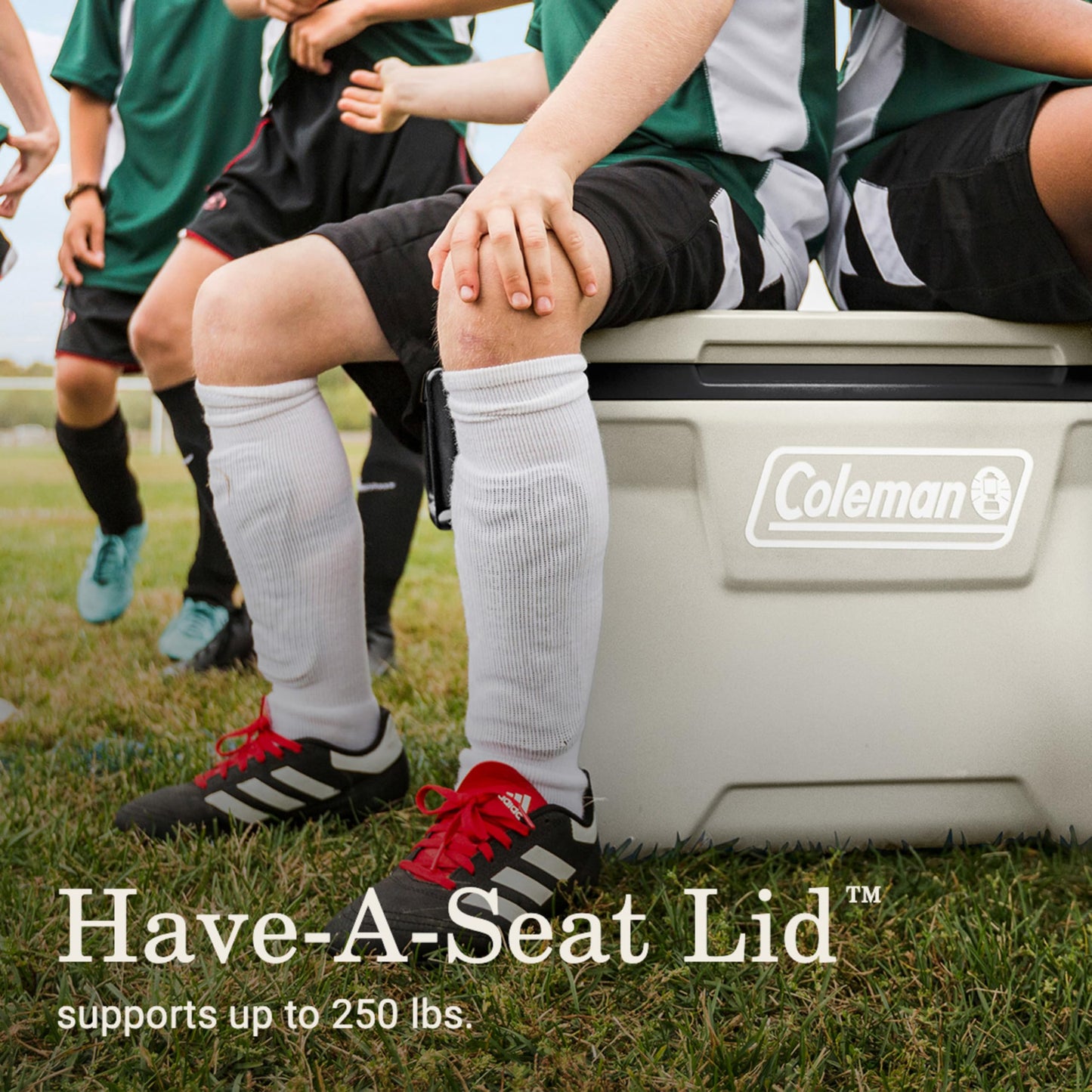 Insulated Portable Hard Cooler with 5-Day Ice Retention for Outdoor Use